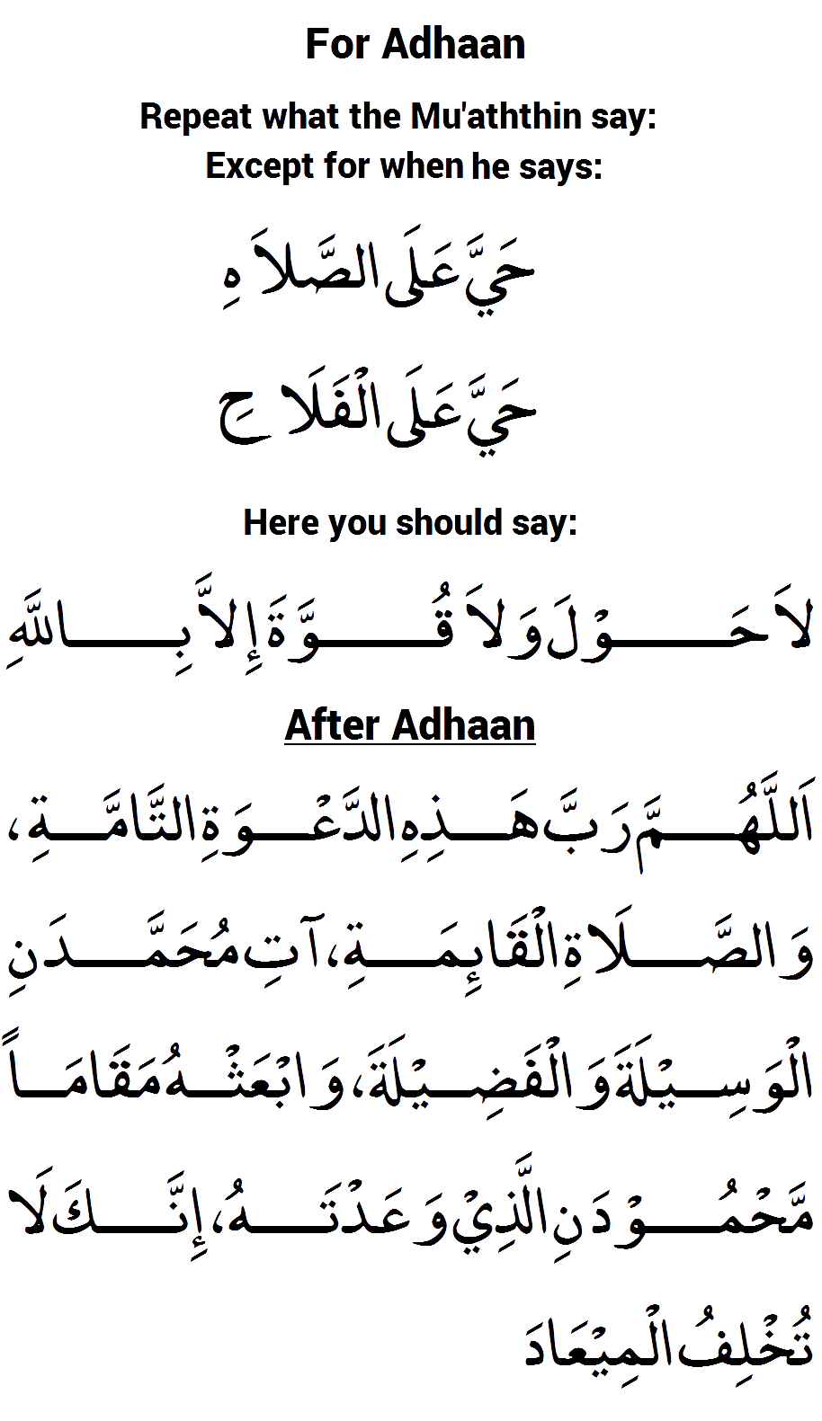 d22
